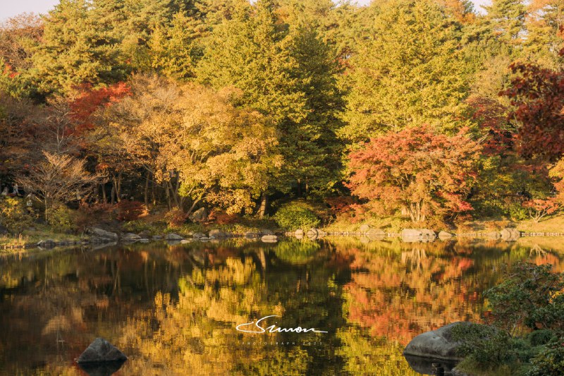 #摄影今日份的国営昭和記念公園