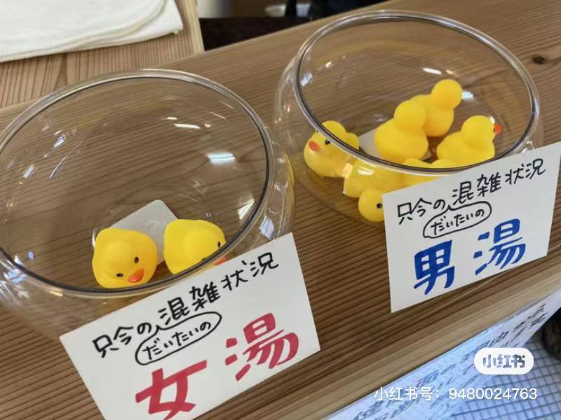 实现了温泉可视化🤣