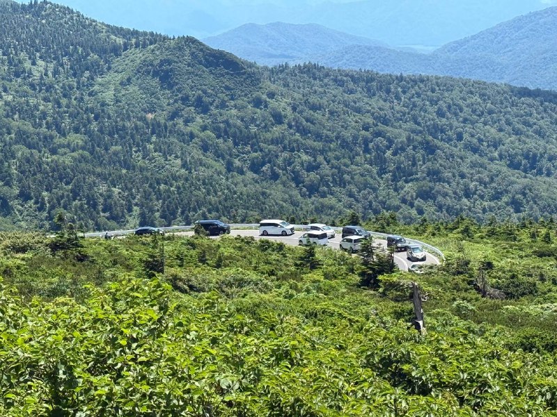 这就是假期的威力吗🤣等了半个多小时才上山