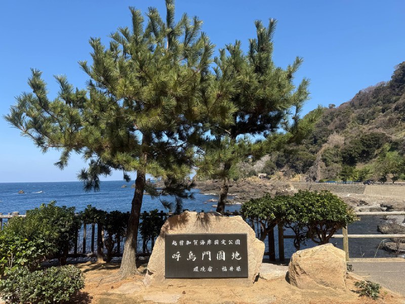 太美丽了