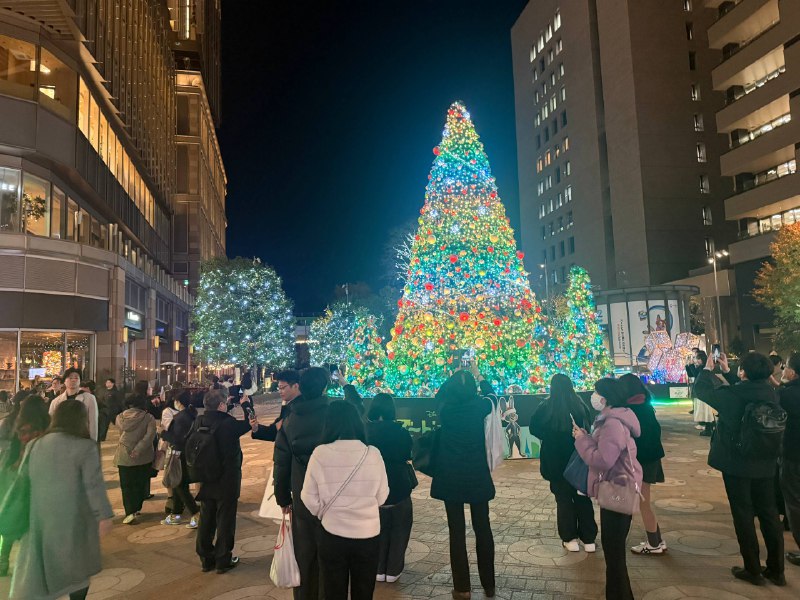 太美丽了圣诞树🎄