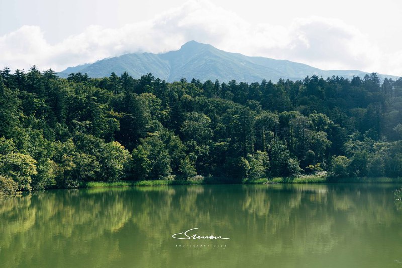 试试新水印iPad手写了好几十遍选了个差不多的🌝