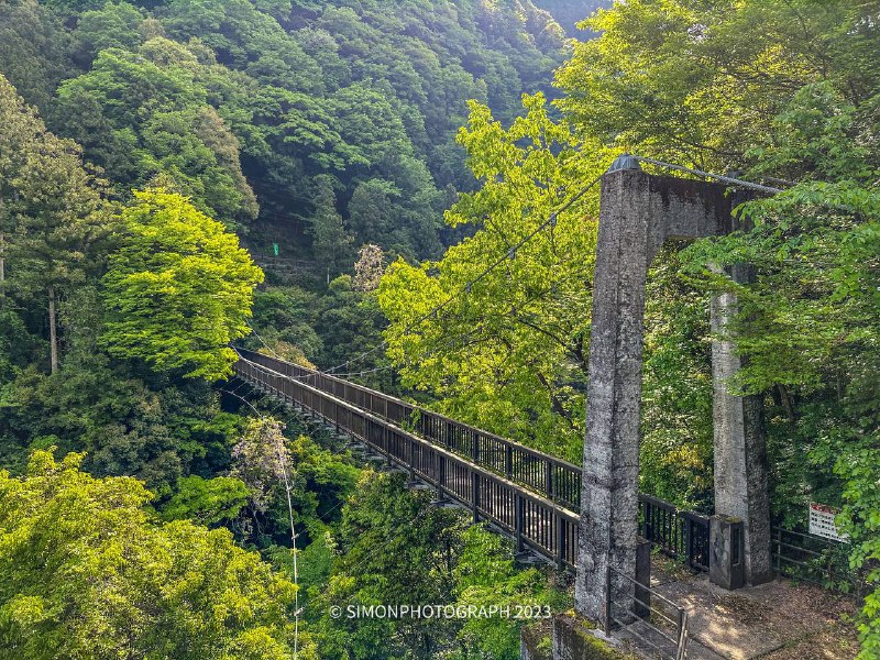 徒步结束，差点累死了（野猪和蛇跑的都比我快，熊倒是没看见幸亏没带相机，整点手机摄影得了全程5公里，奥多摩駅 ～鳩ノ巣徒步结束，差点累死了（野猪和蛇跑的都比我快，熊倒是没看见幸亏没带相机，整点手机摄影得了全程5公里，奥多摩駅 ～鳩ノ巣
