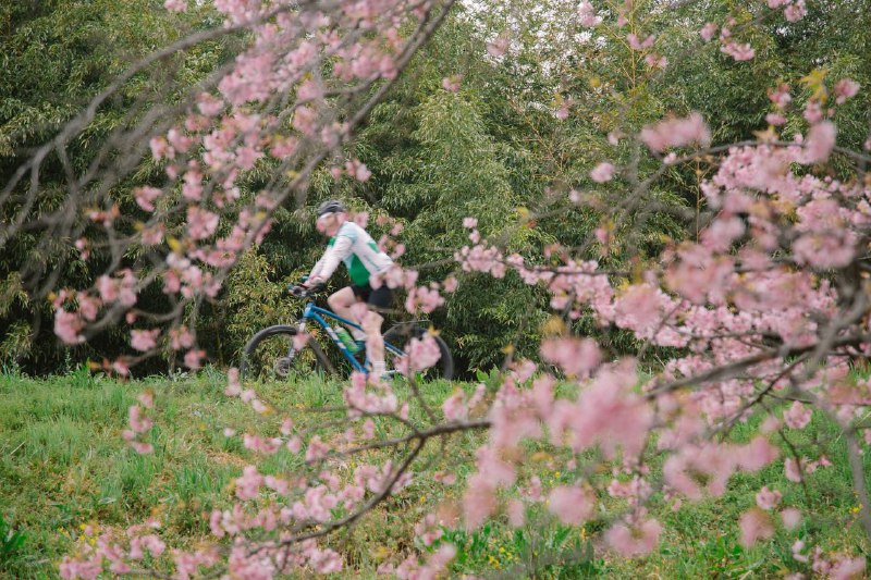 匆匆一撇匆匆一撇