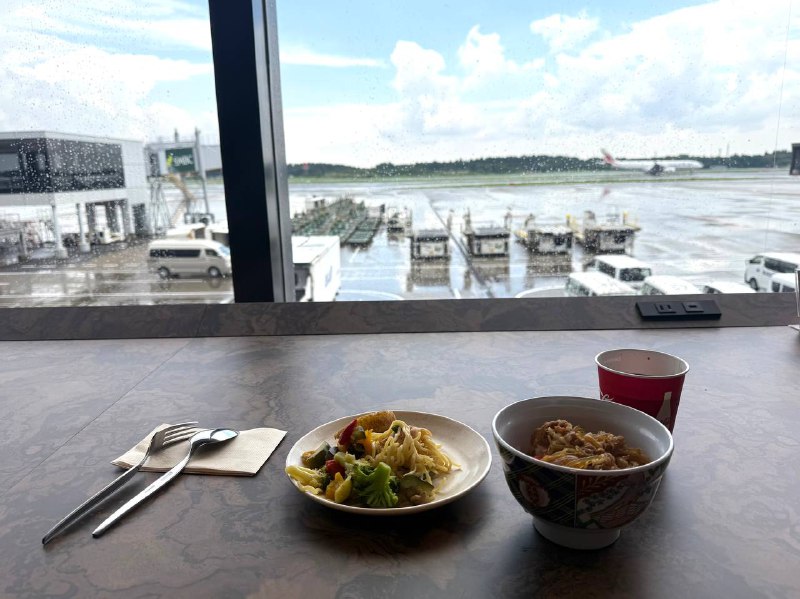 小吃一下子成田PP候机室的面评测结束成田这个PP休息室唯一的优点就是桌子挺大😂面条贼难吃，但牛肉盖饭还行，和吉野家持平😅