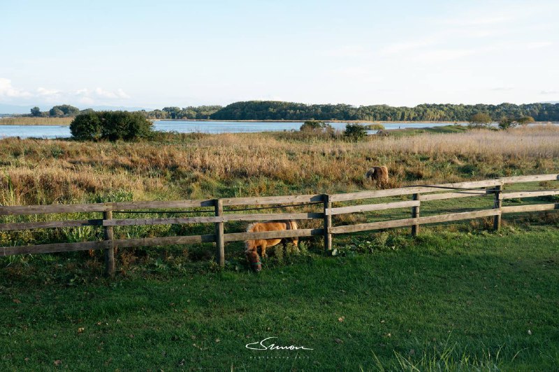 #写真浮生东京之我的北海道休闲养老生活🫡大家共勉之#写真浮生东京之我的北海道休闲养老生活🫡大家共勉之