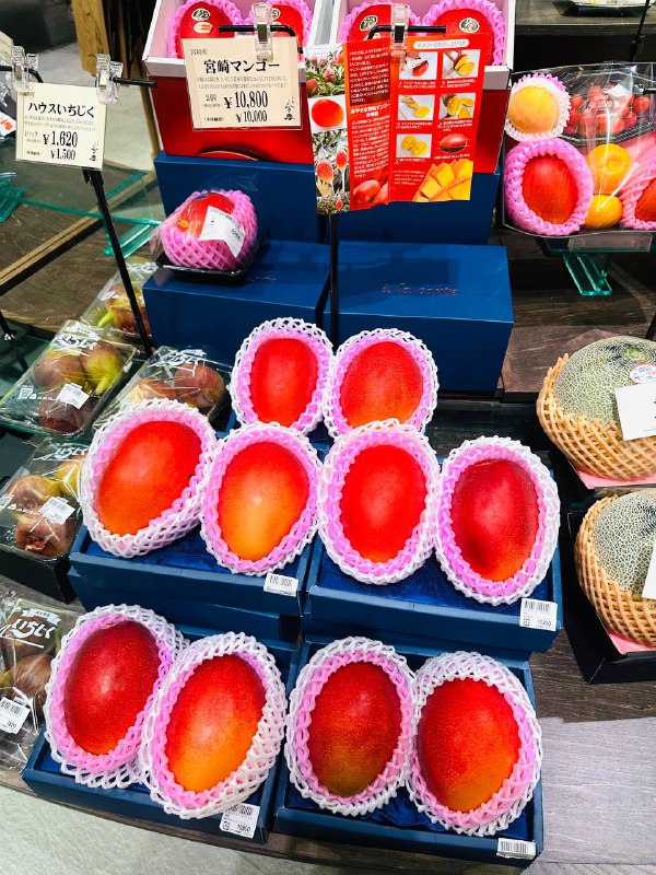 超市热销宫崎芒果，“仅需”500人民币就能买俩😭