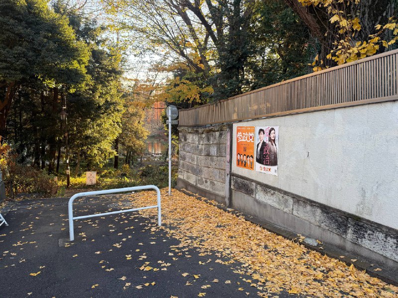 太美丽了井之头公园太美丽了井之头公园