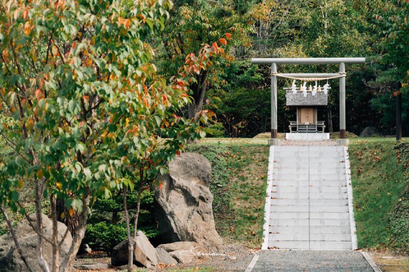 #写真浮生东京之我的北海道休闲养老生活🫡大家共勉之#写真浮生东京之我的北海道休闲养老生活🫡大家共勉之