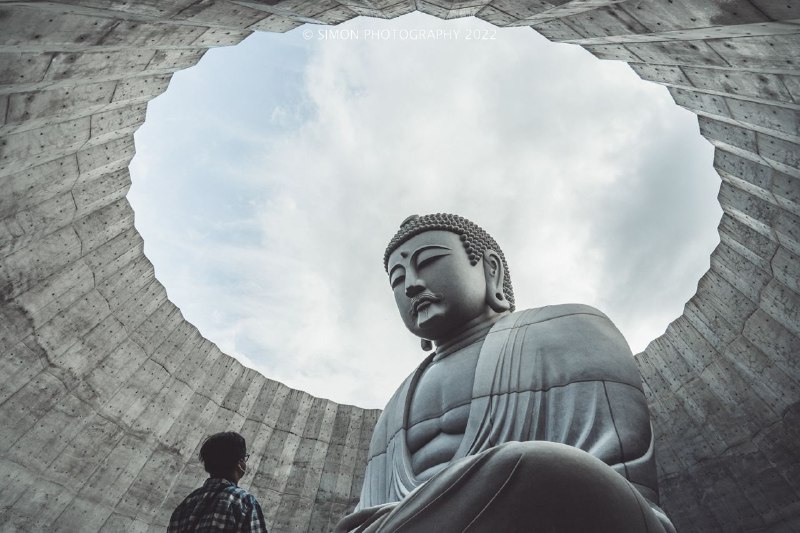 #写真頭大仏