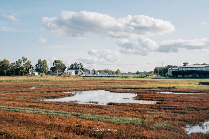 #写真浮生东京之我的北海道休闲养老生活🫡大家共勉之#写真浮生东京之我的北海道休闲养老生活🫡大家共勉之